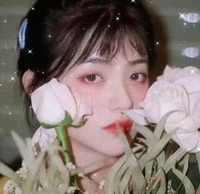 恋爱禁区