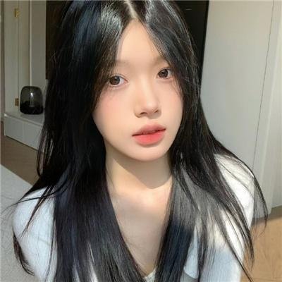 光荣之路上的狗