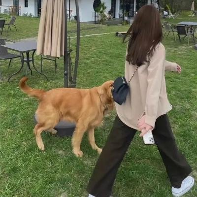 大学新生